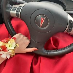 Meet your Posher, Callie